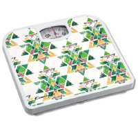 BATHROOM SCALE