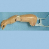 Myoelectricaliy controlled