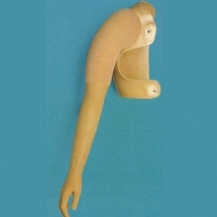orthoo