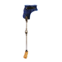 Lower Limb Prosthetics trans hip joint