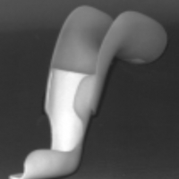 Wheaton Brace