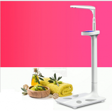 electronic scale
