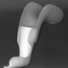 Wheaton Brace