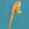 orthoo
